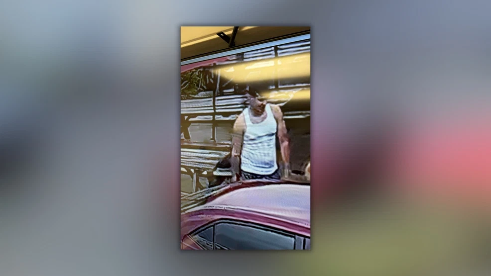 Nashville police search for driver in Nolensville Pike hit-and-run